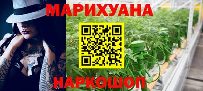 СК Кингисепп
