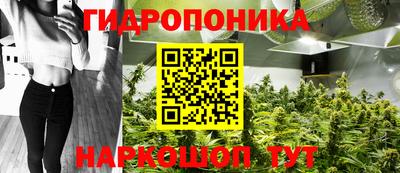 СК Кинель