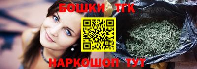 СК Кингисепп