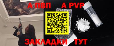 СК Кингисепп