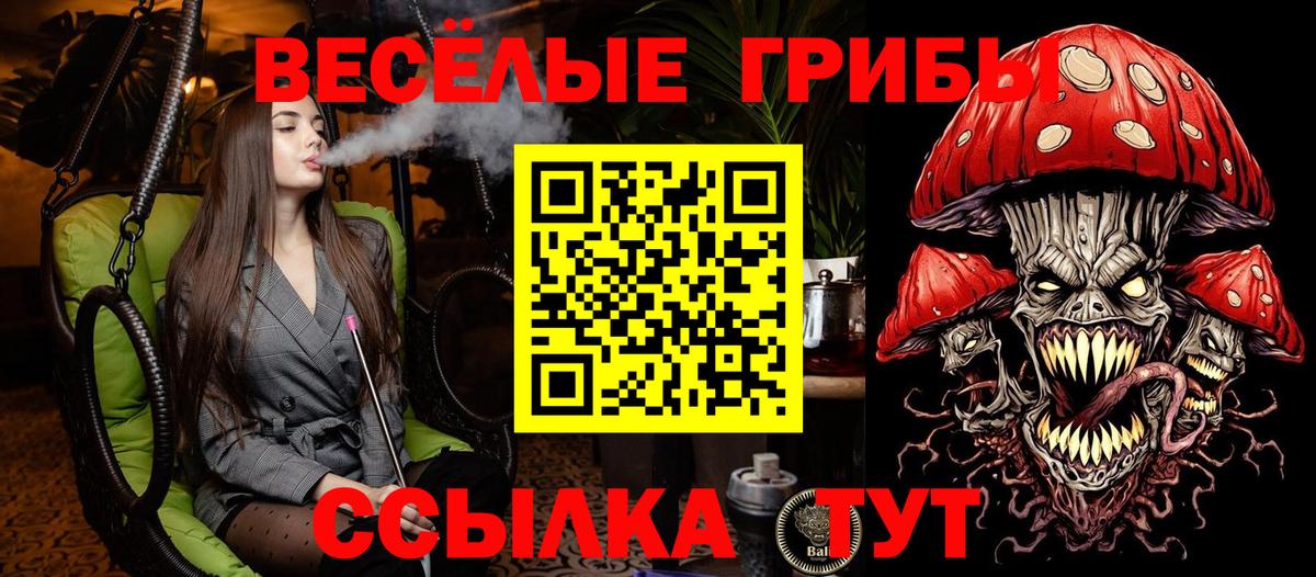 Кимры  Галлюциногенные грибы Cubensis  Вход с VPN 