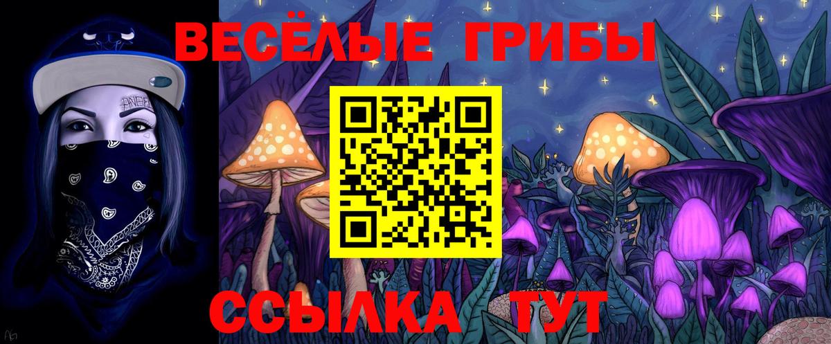 Галлюциногенные грибы Psilocybe Кимры